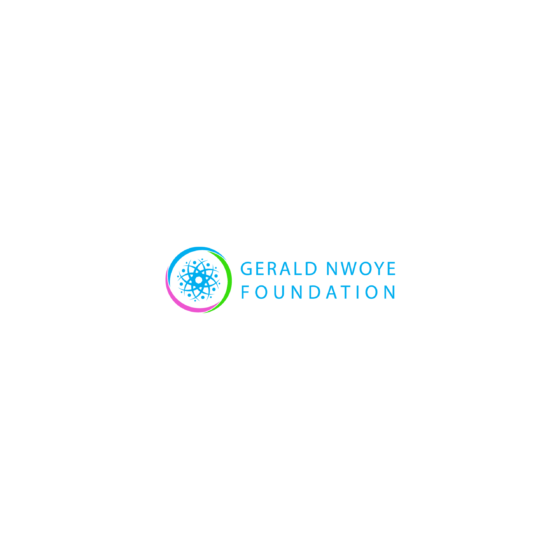 Case Study: Building the Gerald Nwoye Foundation Website – A Digital Home for Community Empowerment