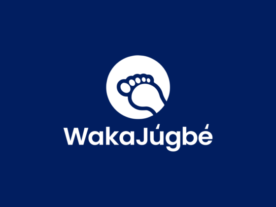 Building Wakajugbe – The Ride-Hailing App That’s Changing the Game